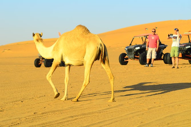 Ras Al Khaimah: Afternoon Desert Safari and BBQ Dinner - Catering and Dining Options