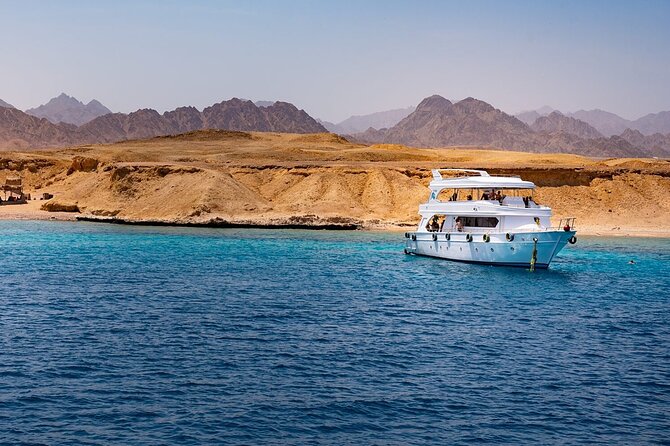 Ras Mohamed and White Island Snorkeling Trip and One Stop Diving-Sharm El Shiekh - Included in the Tour