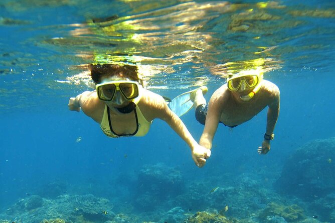 Ras Mohamed and White Island Snorkeling Trip and One Stop Diving-Sharm El Shiekh - Tour Duration and Stops