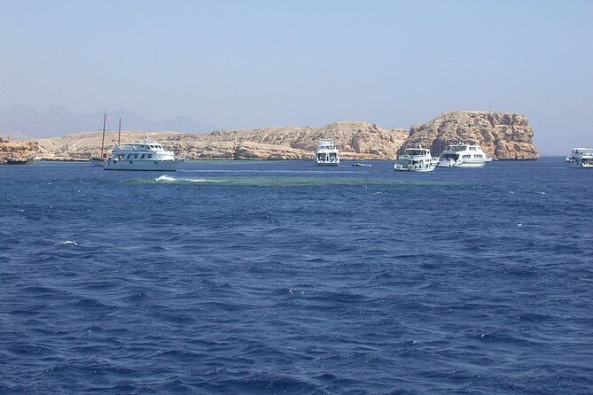 Ras Mohamed and White Island Snorkeling Trip and One Stop Diving-Sharm El Shiekh - Group Size and Capacity