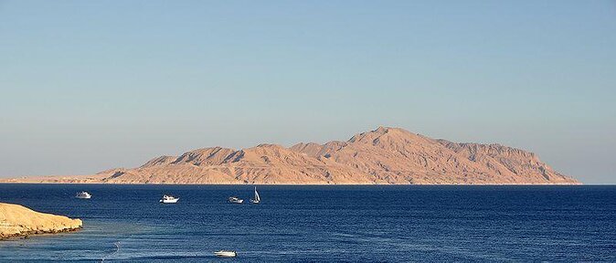 Ras Mohamed Boat Trip & White Island - Key Points