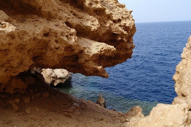 Ras Mohamed National Park by Bus Half Day - Sharm ElSheikh - Health Considerations and Accessibility