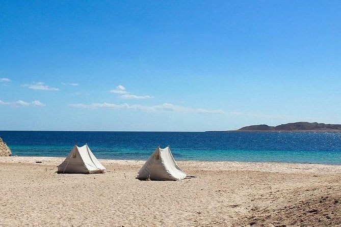 Ras Mohamed National Park by Bus Half Day - Sharm ElSheikh - Pricing Details and Cancellation Policy