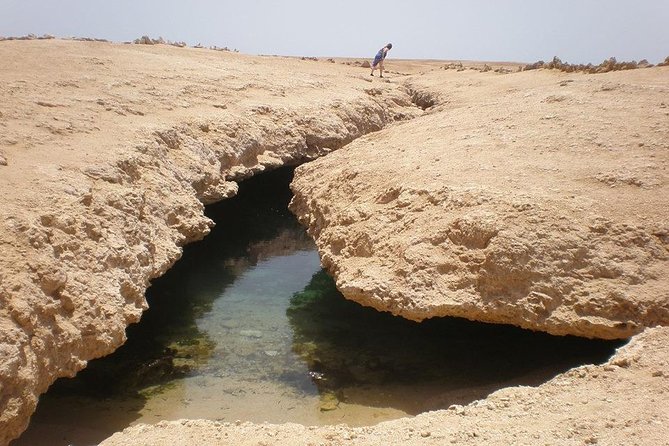 Ras Mohamed National Park Half Day Bus Trip From Sharm El Sheikh - Highlights of Ras Mohamed