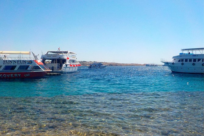 Ras Mohamed National Park & White Island Boat Trip With Lunch - Sharm El Shiekh - Pricing Details