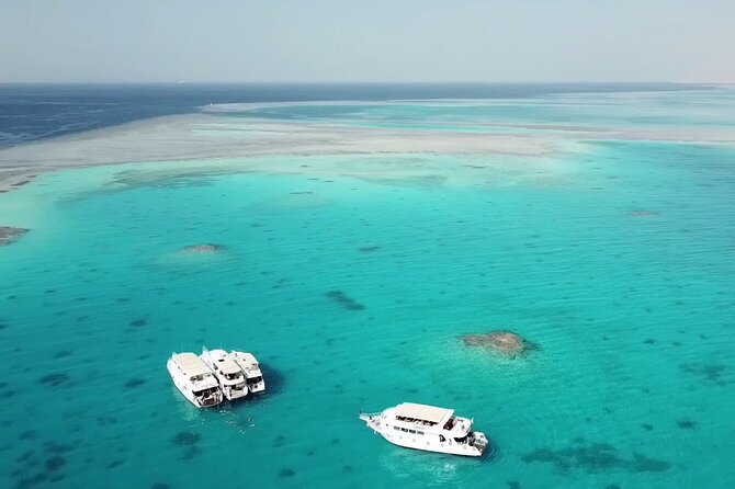 Ras Mohamed & White Island From Sharm El Sheikh by Boat - Exploring the Vibrant Coral Reef