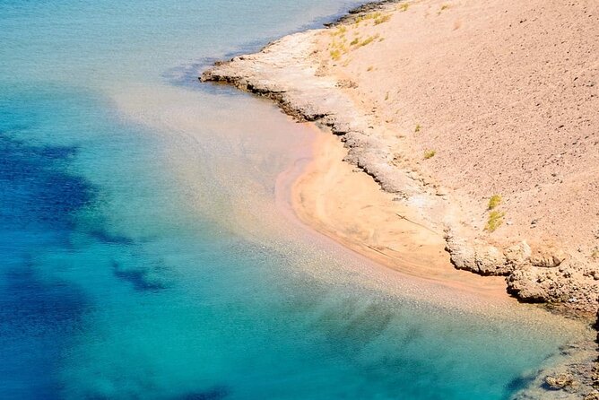 Ras Mohammed Diving Day Trip From Sharm El-Sheikh - Booking Process