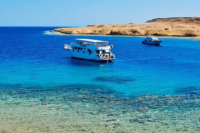 Ras Mohammed Full Day Sea Trip With Lunch by Boat Sharm El-Sheikh - Pickup and Timing