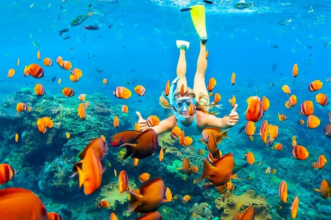 Ras Mohammed Full Day Sea Trip With Lunch by Boat Sharm El-Sheikh - Explore White Island