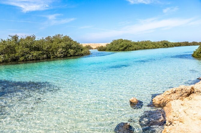 Ras Mohammed National Park Half Day Tour by Bus - Sharm El Sheikh - Personal Experience With Small Group Size