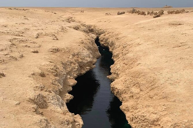 Ras Mohammed National Park Half Day Tour by Bus - Sharm El Sheikh - Glowing Reviews From Previous Travelers