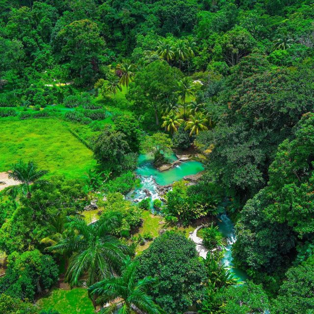 Rasta Safari Atv Experience - Key Points