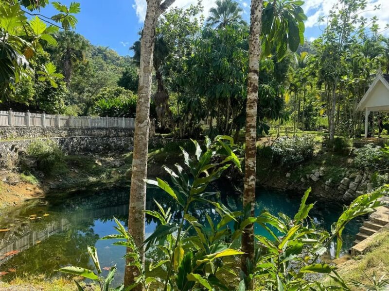 Rasta Safari Atv Exprience Private Tour - ATV Adventure