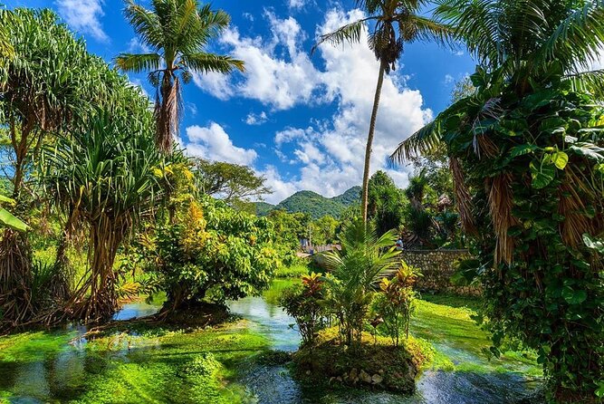 Rastafari Cultural ATV Community Experience From Montego Bay - Authentic Jamaican Adventure