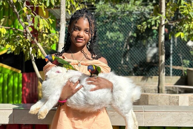 Rastafari Cultural Experience With Herb Garden & Animal Farm Tour - The Herb Garden Experience