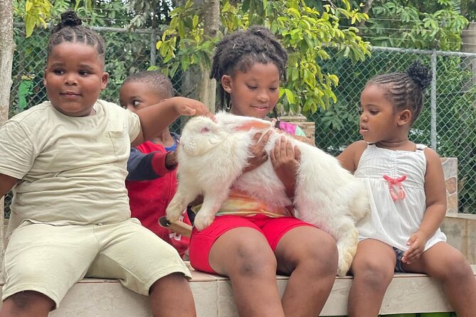 Rastafari Cultural Experience With Herb Garden & Animal Farm Tour - Accessibility and Participation