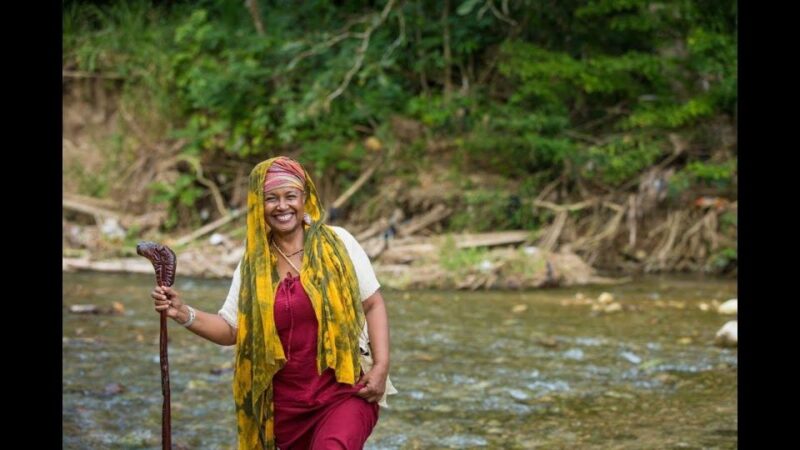 Rastafari Indigenous Village Tour and Private Transportation - Booking Information