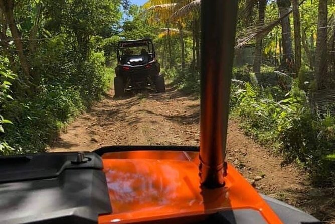 Rastafari Safari Cultural ATV Ride & Ricks Cafe Combo - About Your Stay