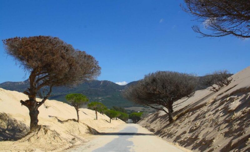 Rate: Ebike Rental Route of the Strait - Key Points