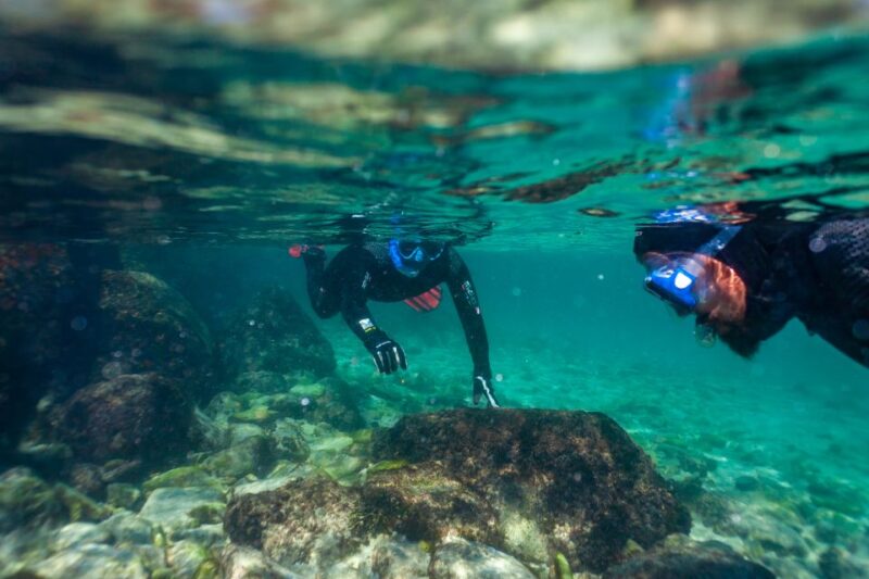 Rate: Guided Snorkel Tour in the Strait Natural Park - Meeting Point and Logistics