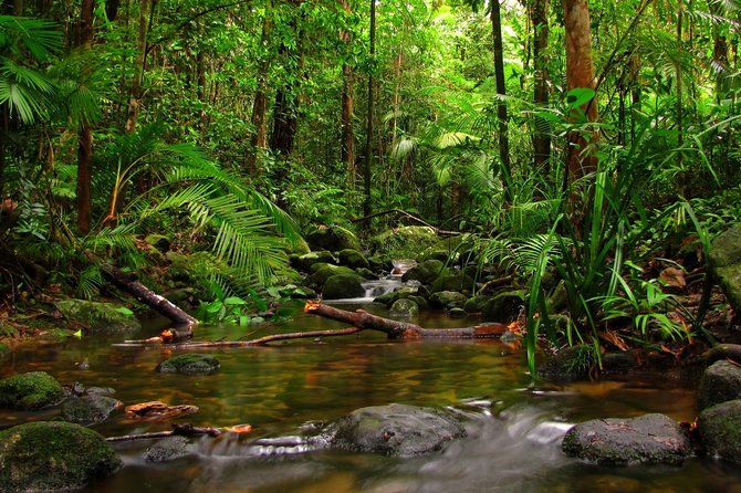 Ratnapura Full Day Tour With Water Falls, Gem Mines and Saman Devalaya - Transportation and Comfort