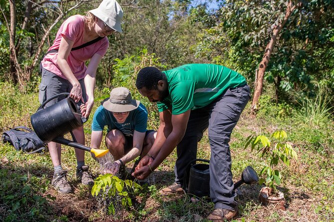 Rau Forest Nature Walk (One Trip - One Tree) - Private Transportation and Lunch