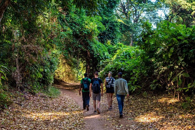 Rau Forest Nature Walk (One Trip - One Tree) - Dietary Accommodations
