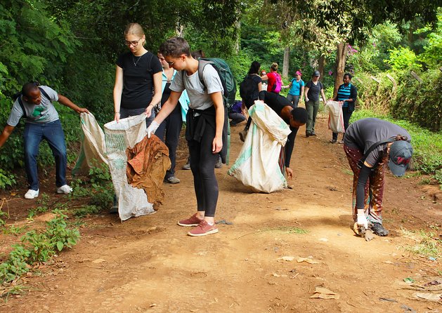 Rau Forest Nature Walk (One Trip - One Tree) - Pickup Details