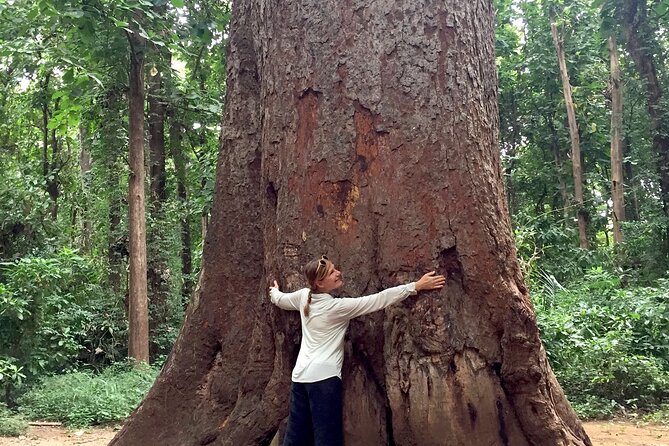 Rau Forest Nature Walk (One Trip - One Tree) - Private Tour Experience