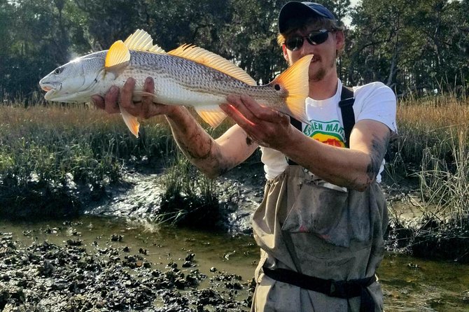 Ravenel Fishing Charters - Fish Species