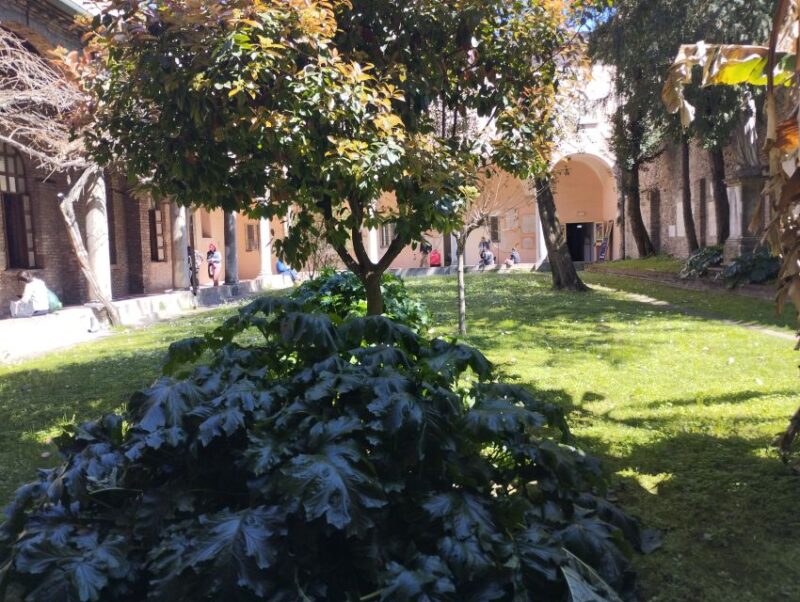 Ravenna: Private Guided Walking Tour - Accessibility and Availability