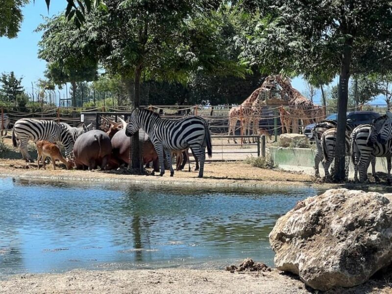 Ravenna: Safari Ravenna Entrance Ticket - Customer Reviews and Ratings