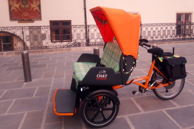 RAXI (E-Rickschaw) Big Private Vienna Tour - Meeting and Pickup