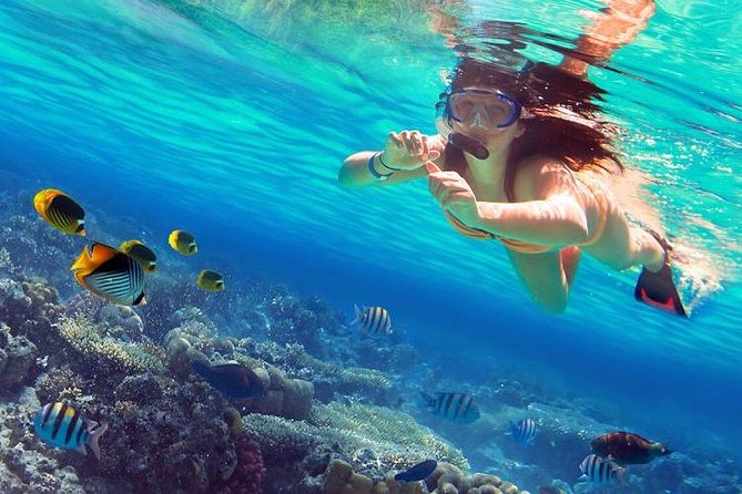 Raya and Coral Speed Boat Snorkeling With Lunch - Booking and Payment
