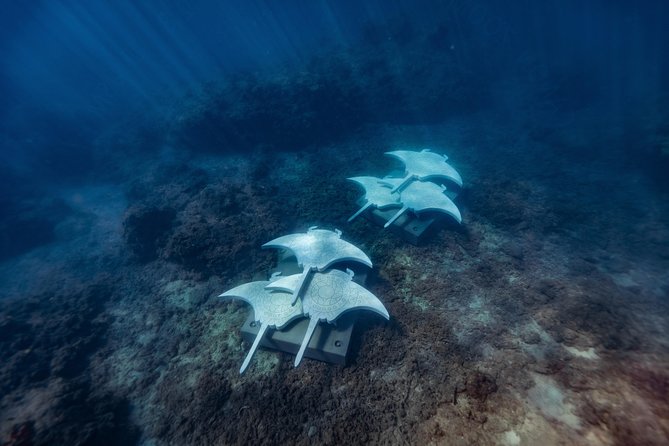 Rayglass Protector - Standard Private Charter - Whitsundays - Inclusions