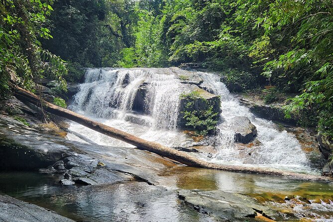 Rayong Adventure Full Day Trip From Pattaya - Health and Safety Considerations