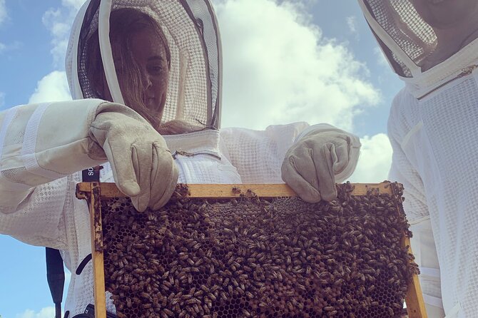 Reagan's Honey Beekeeping Adventure - Recommendations
