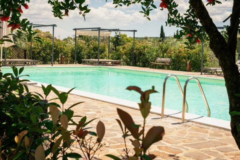 Real Farmers Lunch at Olive Farm in the Italian Countryside - Dining Experience