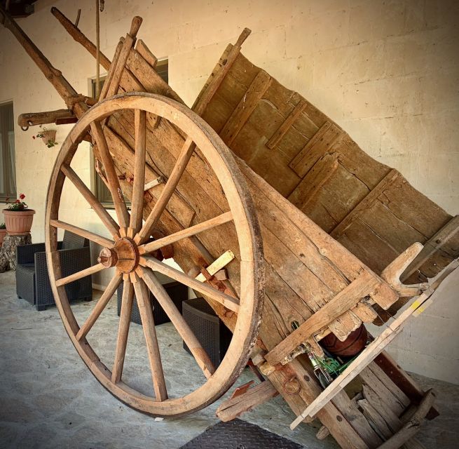 Real Farmers Lunch at Olive Farm in the Italian Countryside - Frequently Asked Questions