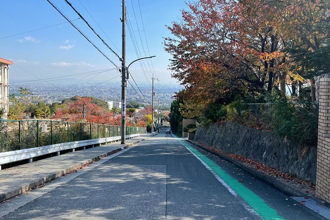 Real-Life Anime Location Visiting in Osaka Private Guided Tour - Additional Information