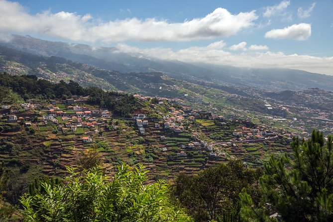 Real Life, Mountains & Sea Cliffs + Lunch + Levada Walk - 6 Hours - Tour Duration and Age Restrictions