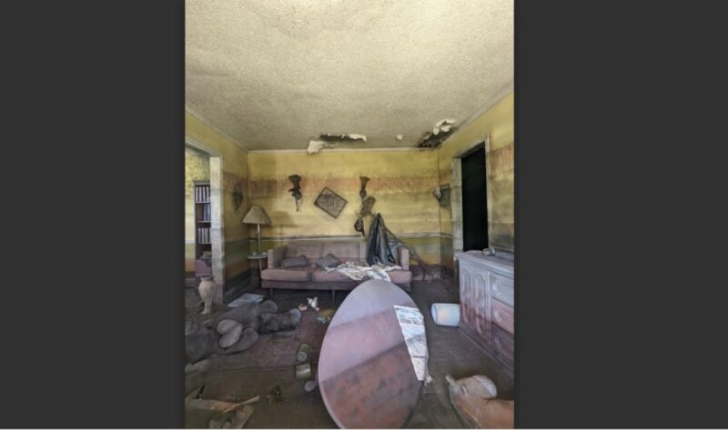Rebirth of New Orleans Tour: Life After Katrina - Booking Information