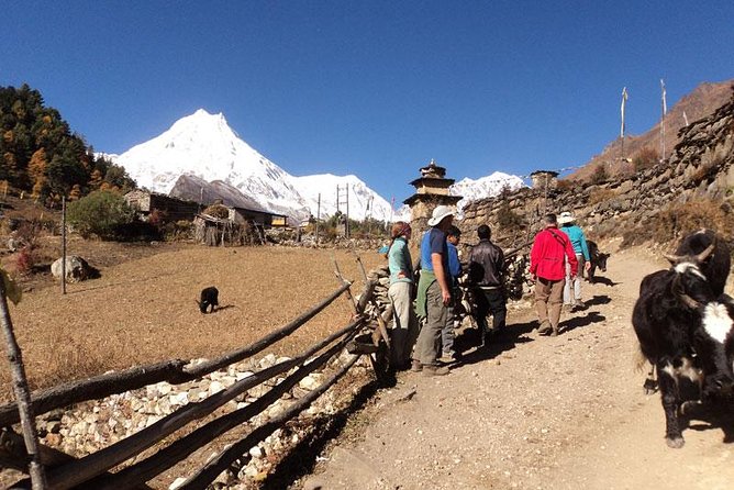 Recently Open Manaslu Circuit Tea House Trek by Local Guide - Inclusions and Logistics