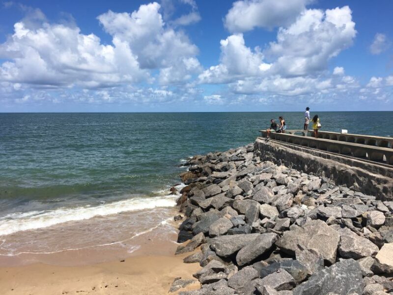 Recife Airport: 1-Way and Round-Trip Shared Transfers - Included Services and Amenities