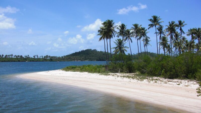 Recife: Tour to Carneiros With Catamaran Ride - Location and Transportation