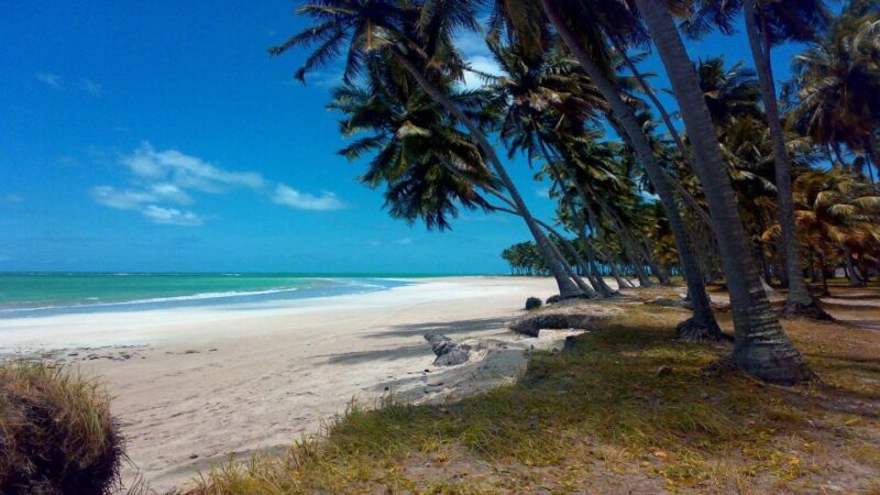 Recife: Tour to Carneiros With Catamaran Ride - Tour Highlights