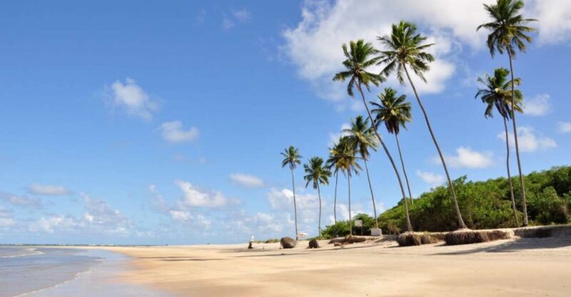 Recife: Tour to Porto De Galinhas - Pickup and Drop-off Details