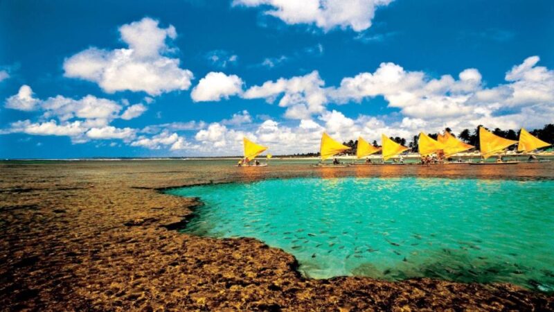 Recife: Tour to Porto De Galinhas - Highlights of the Tour