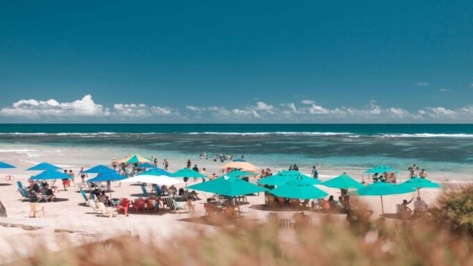 Recife: Tour to Porto De Galinhas - Landscapes and Scenery