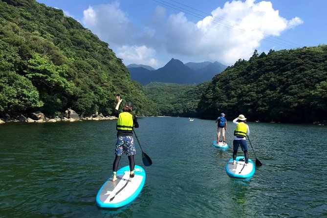 [Recommended on Arrival Date or Before Leaving! ] Relaxing and Relaxing Water Walk Awakawa River SUP [Half Afternoon Tour] - Booking Details